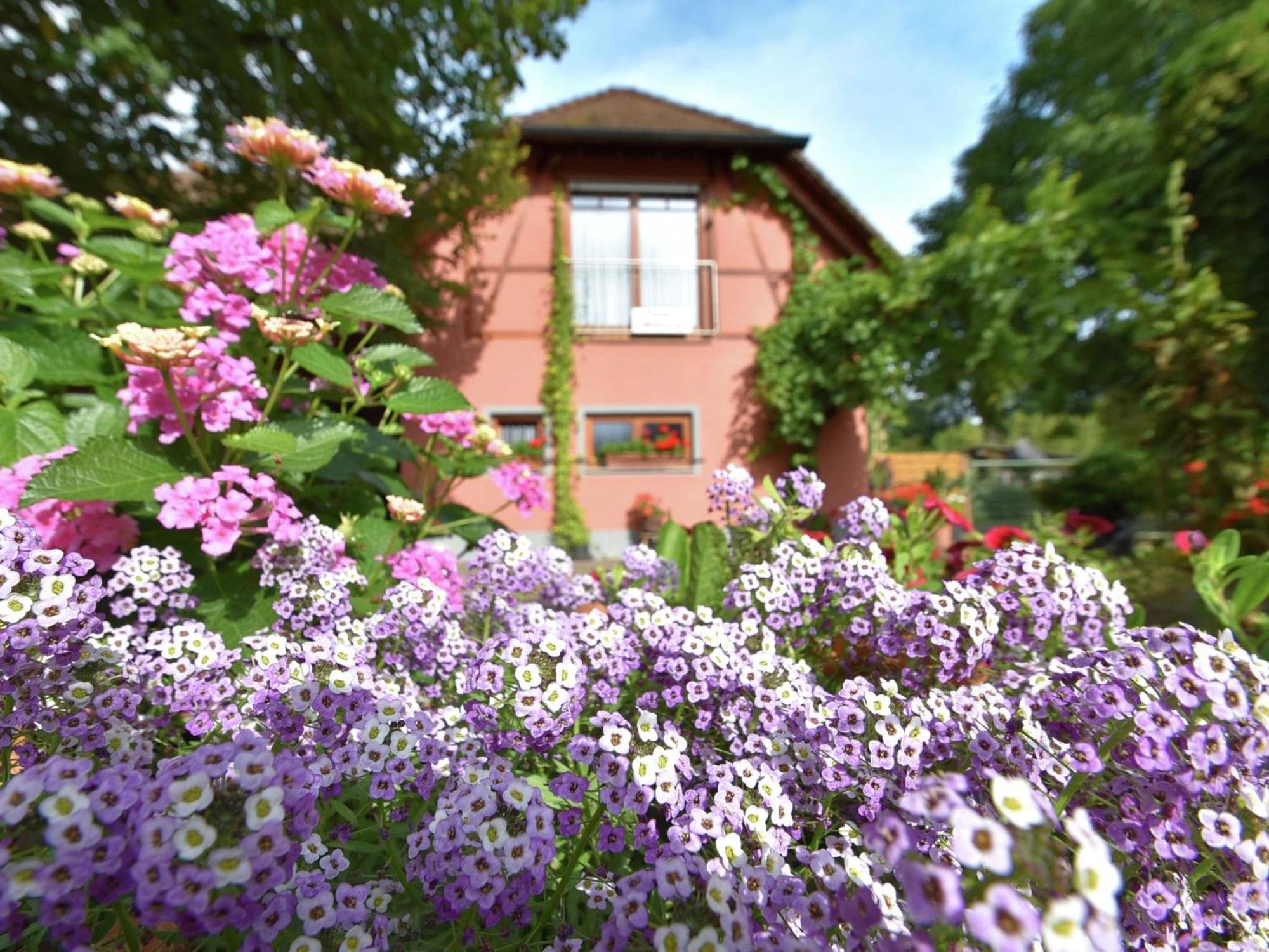Countryside Apartment With Garden シャルシュタット エクステリア 写真