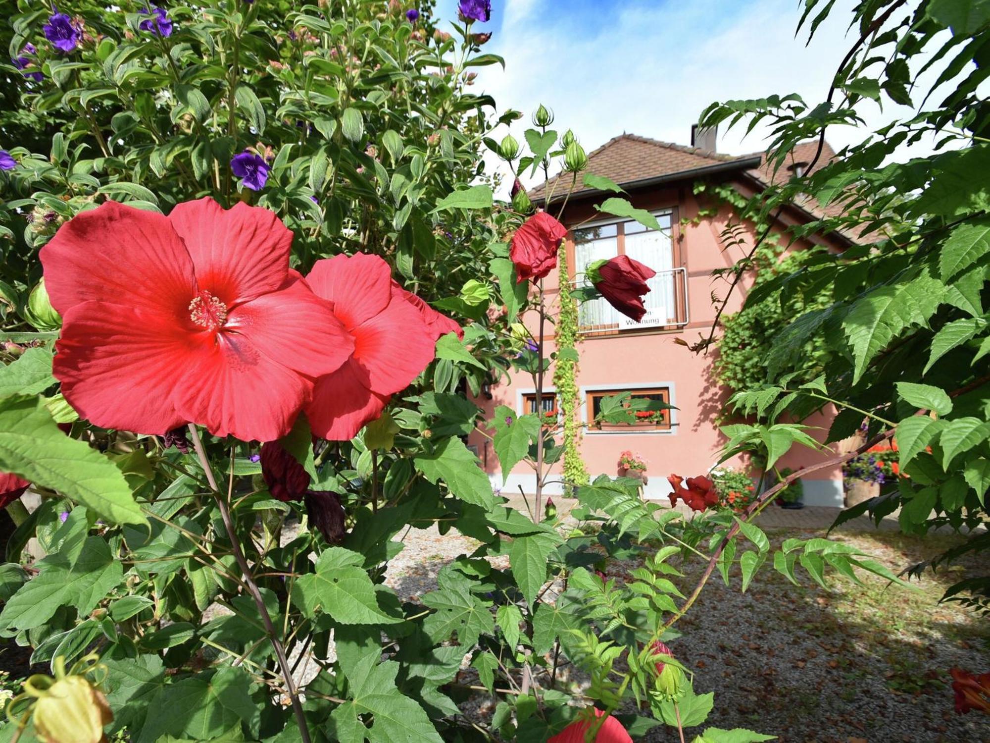 Countryside Apartment With Garden シャルシュタット エクステリア 写真